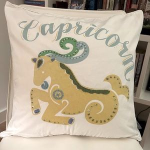 Serena & Lily zodiac Capricorn decorative pillow cover 19x19” fits 20x20” insert